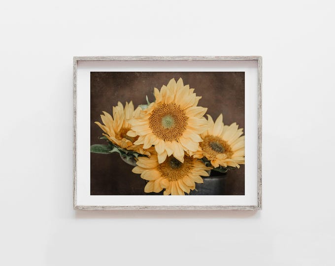 Rustic Sunflower Wall Art Print. Gold & Brown Floral Print. Sunflower Photography for Cottage Chic or Farmhouse Dining or Bedroom Decor.