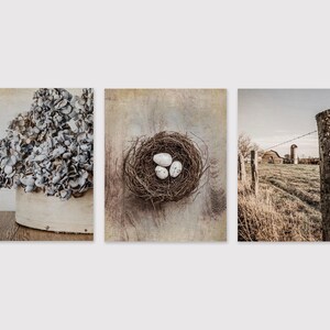 Beige Country Wall Art Decor, Set of 3, Blue Gray Farm Photography Prints, Rustic Home Decor, Canvas, Wood and Metal Prints Available image 3
