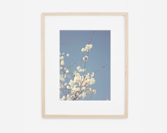 Shabby Chic Blue and White Floral Wall Art Print or Canvas Wrap. Cherry Blossoms Flower Photography for Nursery, Bedroom or Bathroom Decor.