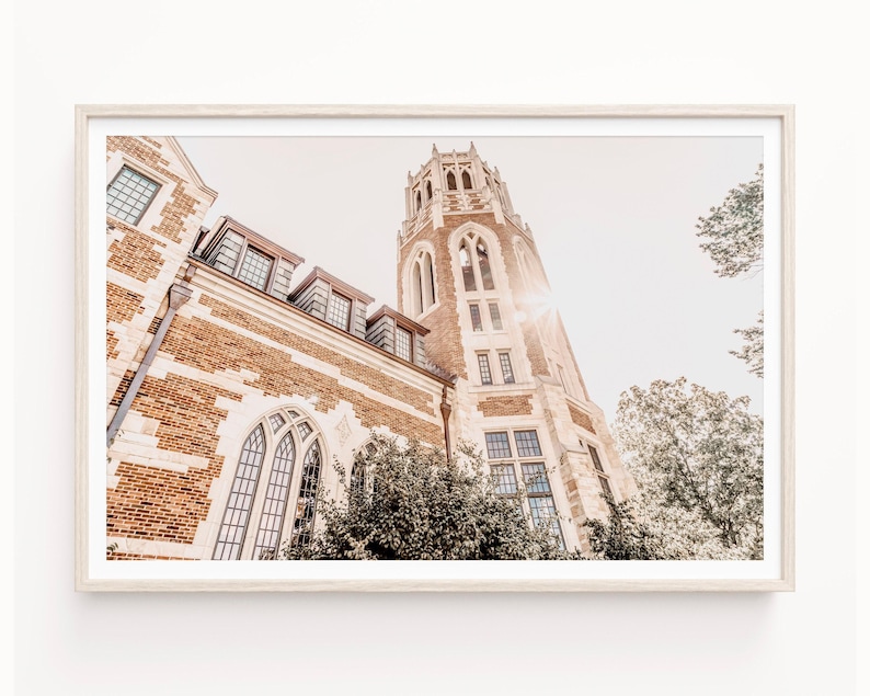Vanderbilt University Wall Art Print or Canvas. Vanderbilt University Campus Commodores Photography Wall Decor Art. Graduation Gift. image 2