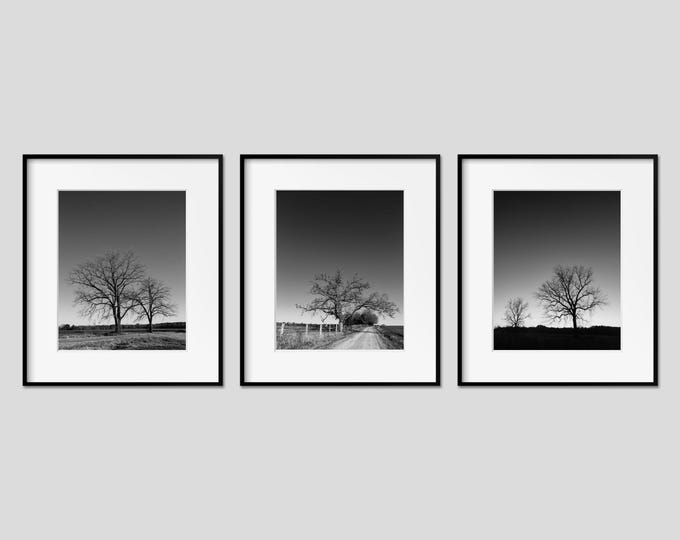 Black & White Tree Landscape Wall Art Set of 3 Prints. Rustic Nature Decor for Office, Bedroom and Living Rooms. Modern Minimal Canvas Art.