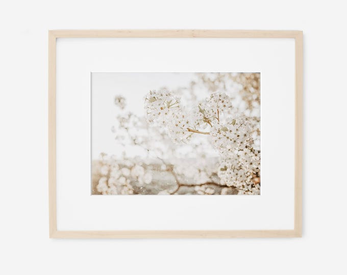 Rustic White Floral Print, Nature Photography, Neutral Wall Art, Rustic Home Decor, Bone White Art, White Flower Picture, Custom Framed Art