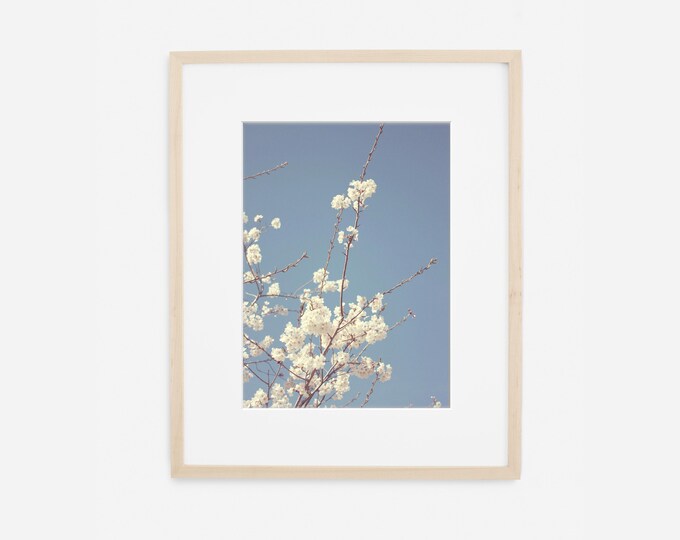 Shabby Chic Blue and White Floral Wall Art Print or Canvas Wrap. Cherry Blossoms Flower Photography for Nursery, Bedroom or Bathroom Decor.
