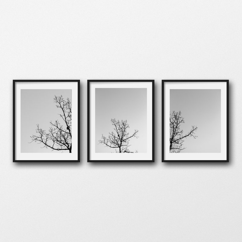 Minimal Nature Print Set Tree Photography Prints Rustic Etsy