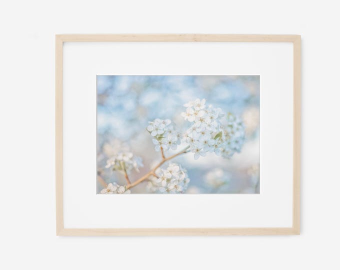 Abstract Blue Floral Wall Art Photography Print. Personalized Scripture Nursery Decor, Flowers, Floral Canvas, Custom Frame, or Wood Decor.