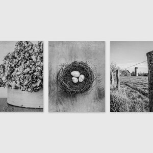 Beige Country Wall Art Decor, Set of 3, Blue Gray Farm Photography Prints, Rustic Home Decor, Canvas, Wood and Metal Prints Available image 4