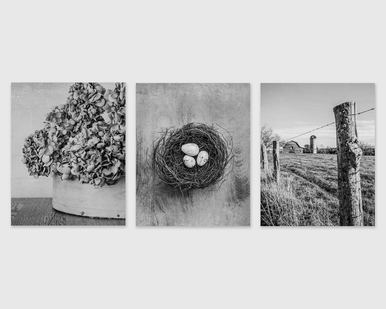 Beige Country Wall Art Decor, Set of 3, Blue Gray Farm Photography Prints, Rustic Home Decor, Canvas, Wood and Metal Prints Available image 4