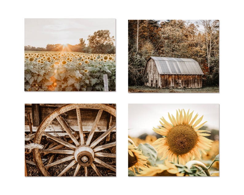 Autumn Barn Landscape Farmhouse Wall Art Decor Photography Prints. Gold & Brown Country Sunflower Canvas Wall Art for Rustic Home Decor. image 2