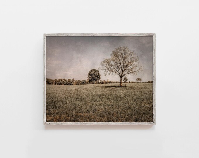 Moody Tree Landscape Wall Art Decor with Neutral Tones and Vintage Textures. Vintage Transitional Countryside Wall Art Print and Canvas.