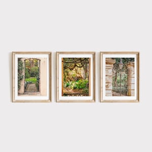Charleston Art Prints or Canvas Set. Garden Gates of Charleston, SC Photography Prints. Print Set of 3 Gardens and Wrought Iron Gates.