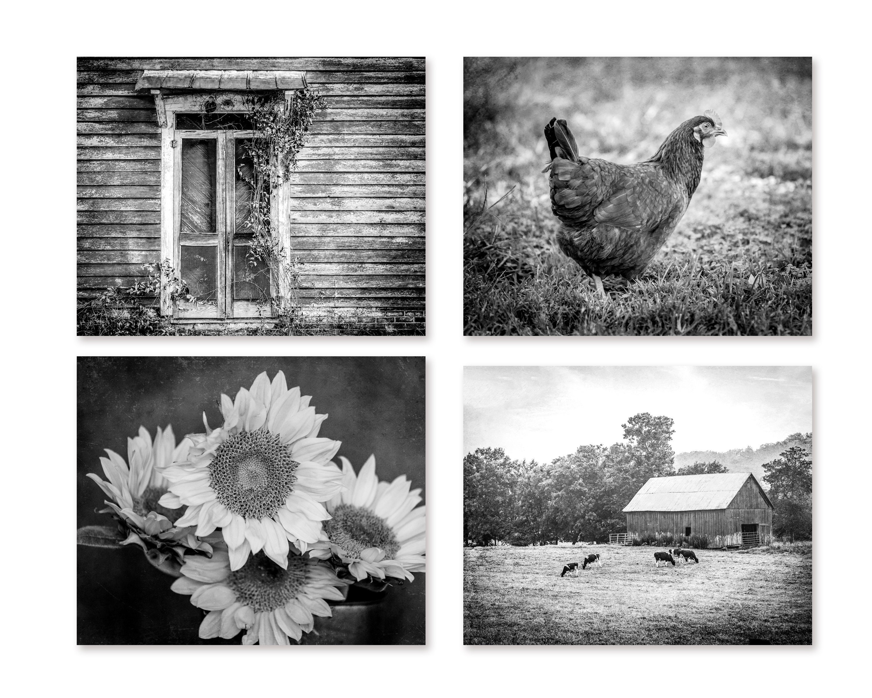 Rustic Farmhouse Wall Art Decor Photography Prints. Red Country Barn