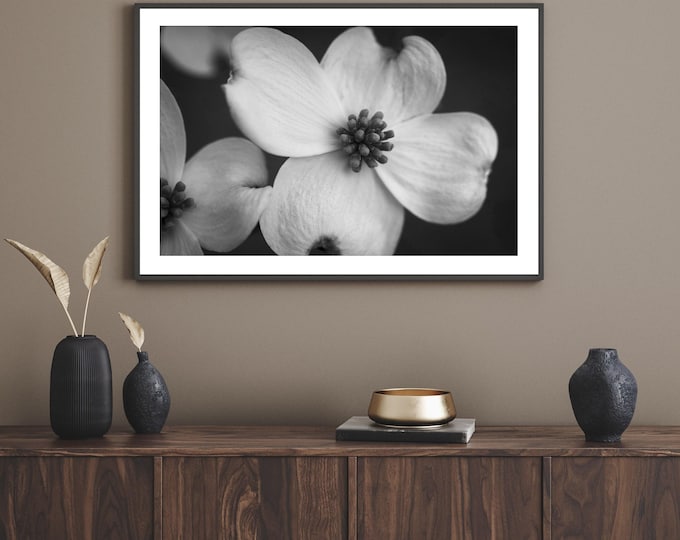 Dogwood Tree Flower Wall Art Print or Canvas. Neutral Wall Art Home Decor. Black & White Floral Nature Wall Art. Dogwood Blooms Rustic Art.