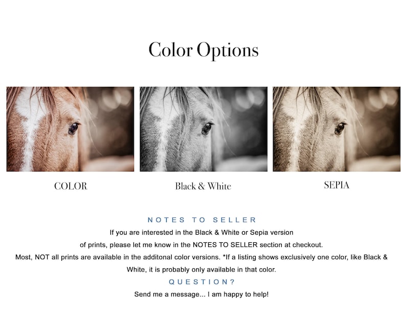 Horse Photography Print, Equestrian Wall Art, Modern Animal Art, Modern Farmhouse Wall Art, Rustic Decor, Framed & Canvas Print Available imagen 2