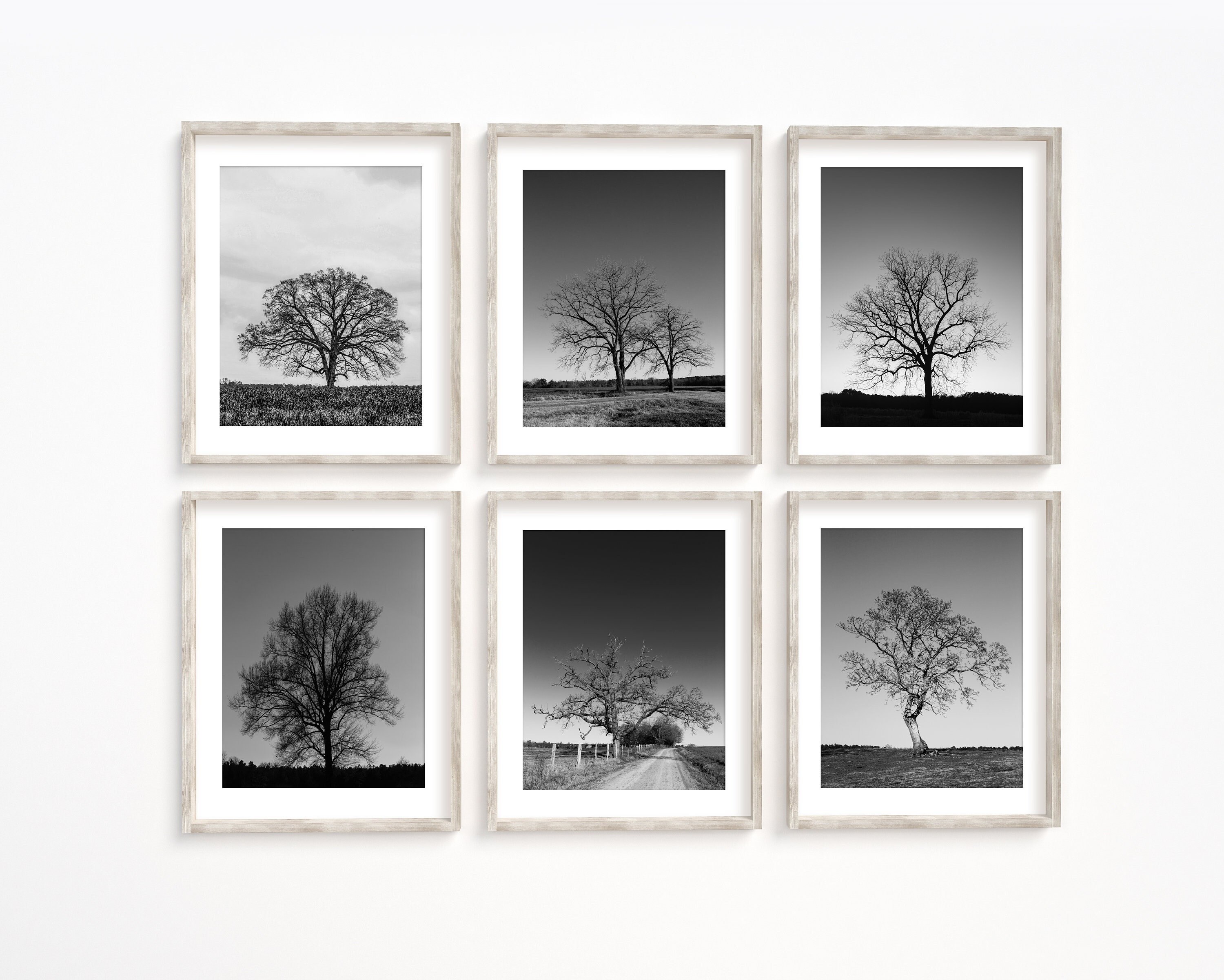 Tree Print Set, Landscape Photography, Farmhouse Wall Art, Rustic Decor