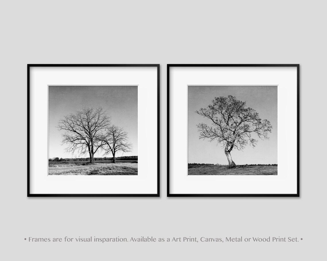 Rustic Tree Wall Art Decor. Set of 2 Tree Landscape Etsy