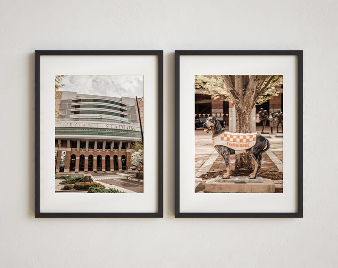 Tennessee Vols Decor Wall Art Print or Canvas Set. UT Knoxville Photography Wall Art. Neyland Stadium Entrance & Smokey Print Set of 2.