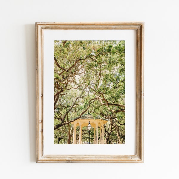 Charleston Art Print or Canvas. Charleston, SC Photography in The Battery at White Point Gardens. Charleston Wall Art Gift for Her.