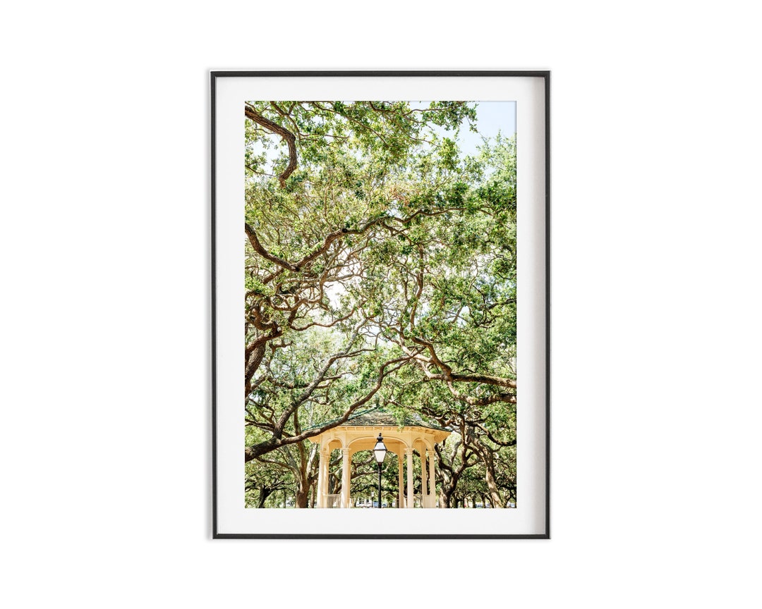 White Point Gardens Wall Art Print or Canvas Decor. Etsy