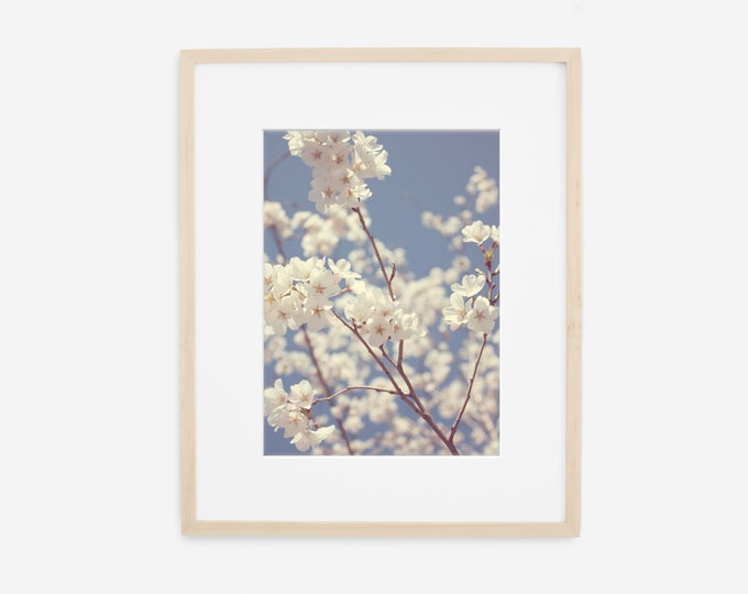 Spring Floral Photography Print, Blue & White Wall Art, Farmhouse Print, Country Home Decor, Shabby Chic, Framed Print and Canvas Available