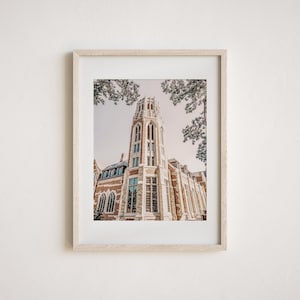 May include: A framed print of a tall, ornate building with a tower. The building is made of light-colored stone and brick, with many windows and architectural details. The print is in a light wood frame.
