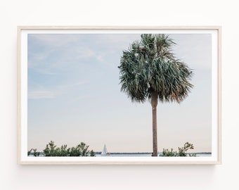 Palm Tree & Sailboat Print, Tropical Photography, Coastal Art, Water Wall Art, Large Canvas Print, Boho Chic, Palm Tree Canvas, Framed Print