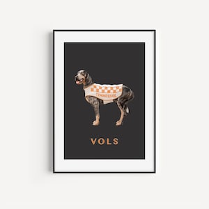 Tennessee Vols Decor. Vols Wall Art Print. Smokey Wall Art Print or Canvas. UT Grad Gift. Gift for Him. Man Cave Wall Art.