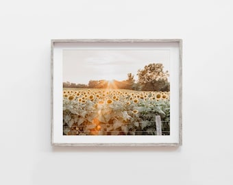 Sunflower Field Wall Art Print or Canvas. Sunflower Field at Sunset Picture for Bedroom, Bathroom or Living Room Decor. Gift for Her.