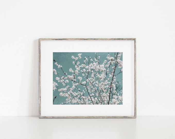 Shabby Chic Teal Blue Floral Wall Art Print or Canvas Wrap. Turquoise Cherry Blossoms Flower Art for Nursery, Bedroom or Bathroom Decor.