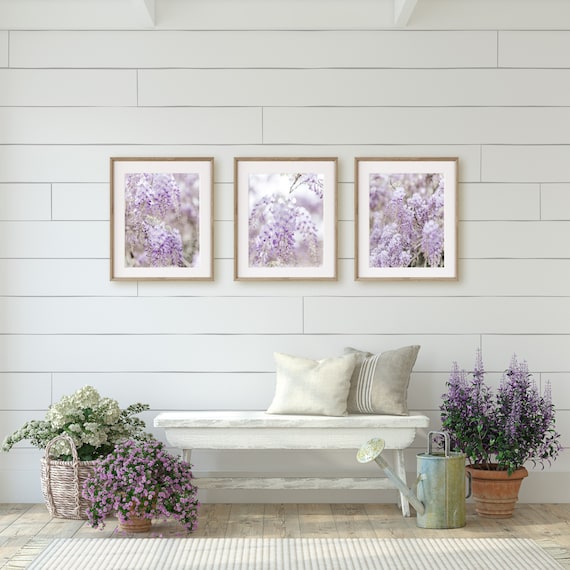 French Country Wall Art Floral Print Set of 4 Wisteria Etsy