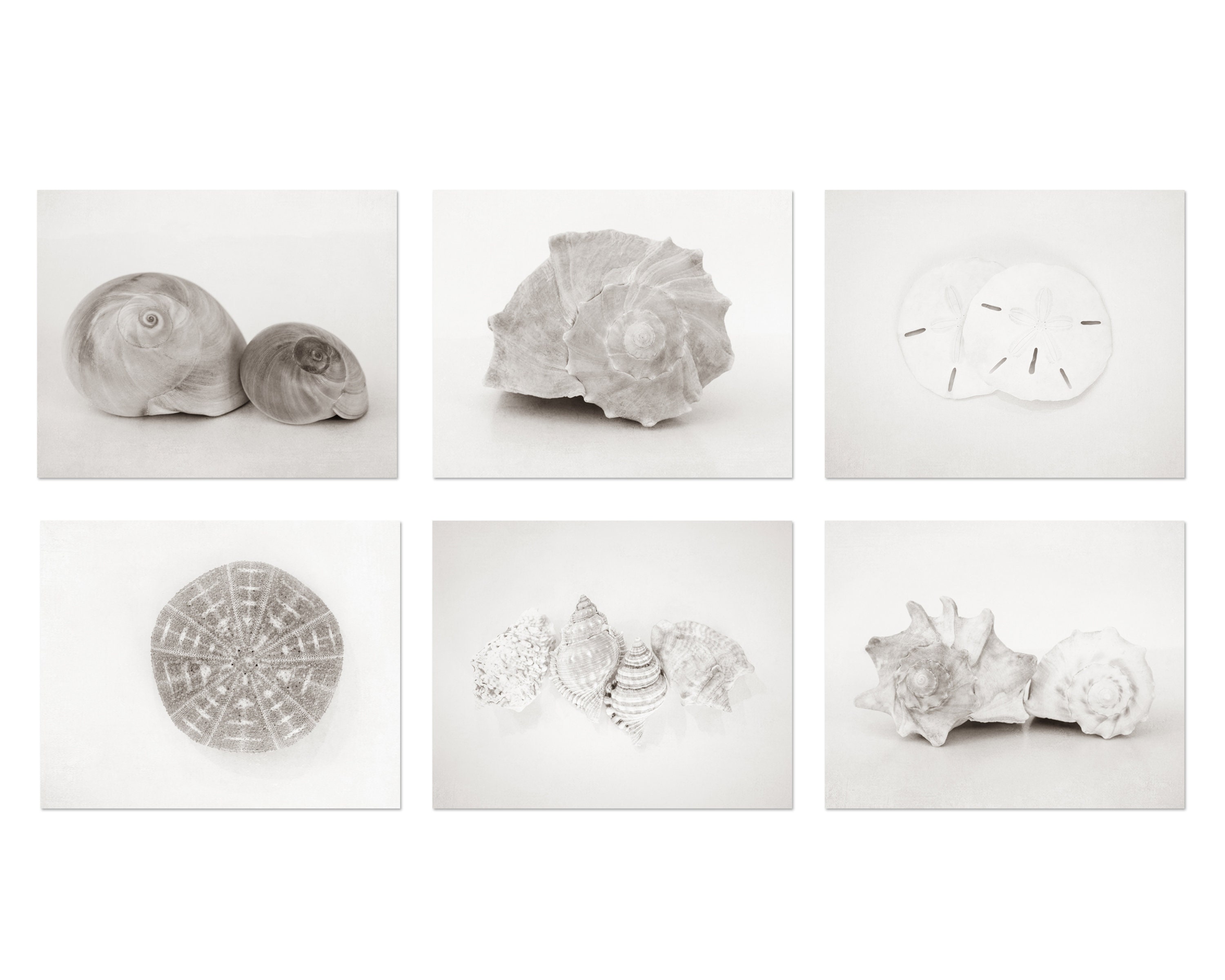 White Coastal Wall Art Decor Print or Canvas Set. Set of 6 Neutral