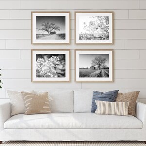 Rustic Landscape Photography, Farmhouse Prints, Floral Prints, Neutral Home Decor, Country Print Set, Also Available on Canvas, Metal & Wood image 1