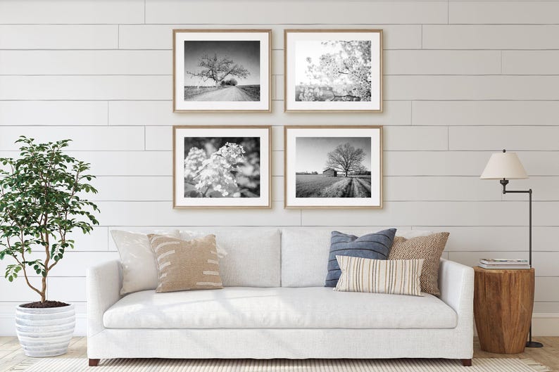 Rustic Landscape Photography, Farmhouse Prints, Floral Prints, Neutral Home Decor, Country Print Set, Also Available on Canvas, Metal & Wood image 1