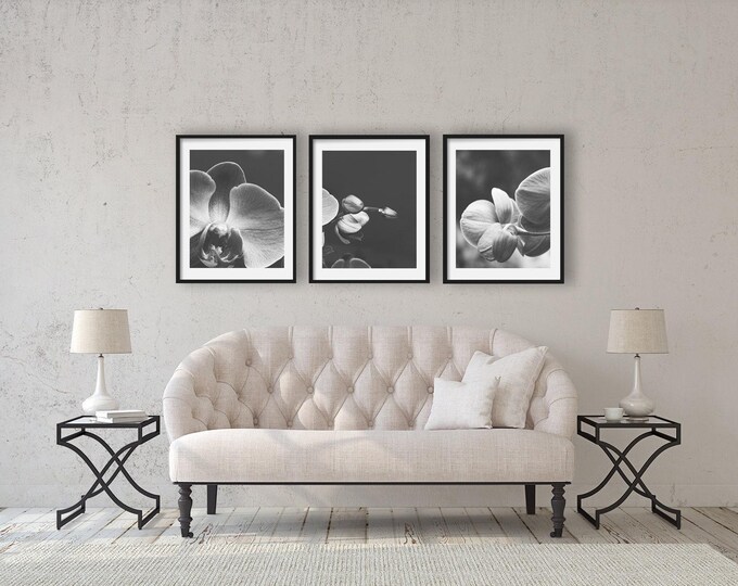 Black & White Orchid Prints, Floral Photography, Flower Pictures, Floral Wall Art, Black and White Art, Shabby Chic, Black Flower Canvas Set