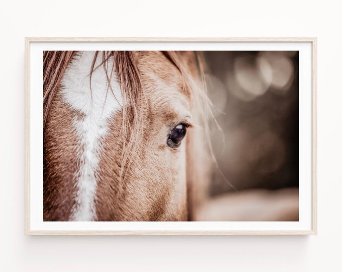 Horse Photography Print, Equestrian Wall Art, Modern Animal Art, Modern Farmhouse Wall Art, Rustic Decor, Framed & Canvas Print Available