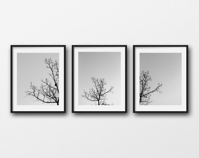 Minimal Nature Print Set, Tree Photography Prints, Rustic Decor, Black & White Wall Art, Tree Canvas Set, Farmhouse Prints, Gallery Wall Art
