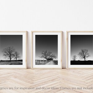 Black & White Tree Landscape Wall Art Set of 3 Prints. Rustic Nature Decor for Office, Bedroom and Living Rooms. Modern Minimal Canvas Art. image 3