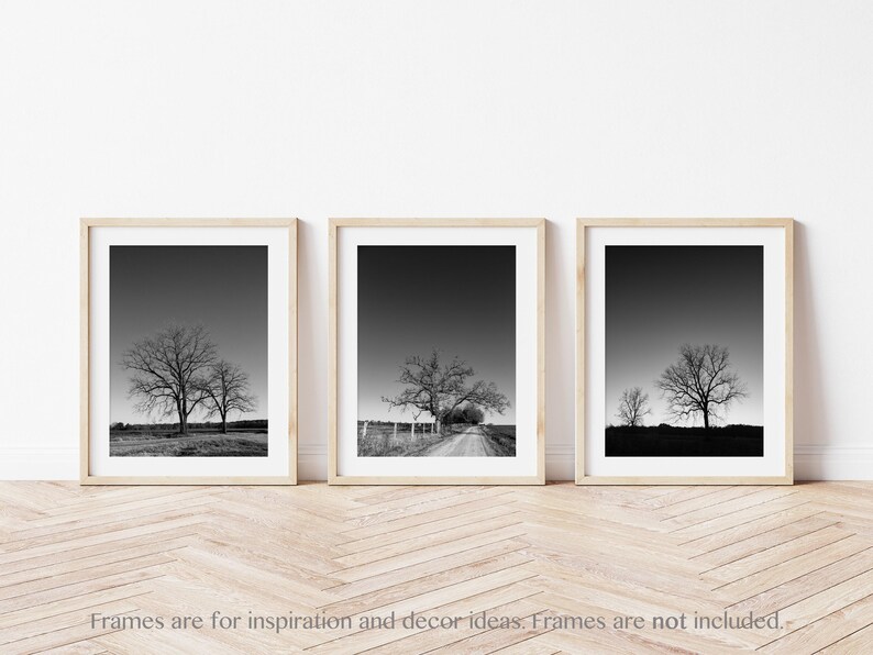Black & White Tree Landscape Wall Art Set of 3 Prints. Rustic Nature Decor for Office, Bedroom and Living Rooms. Modern Minimal Canvas Art. image 3