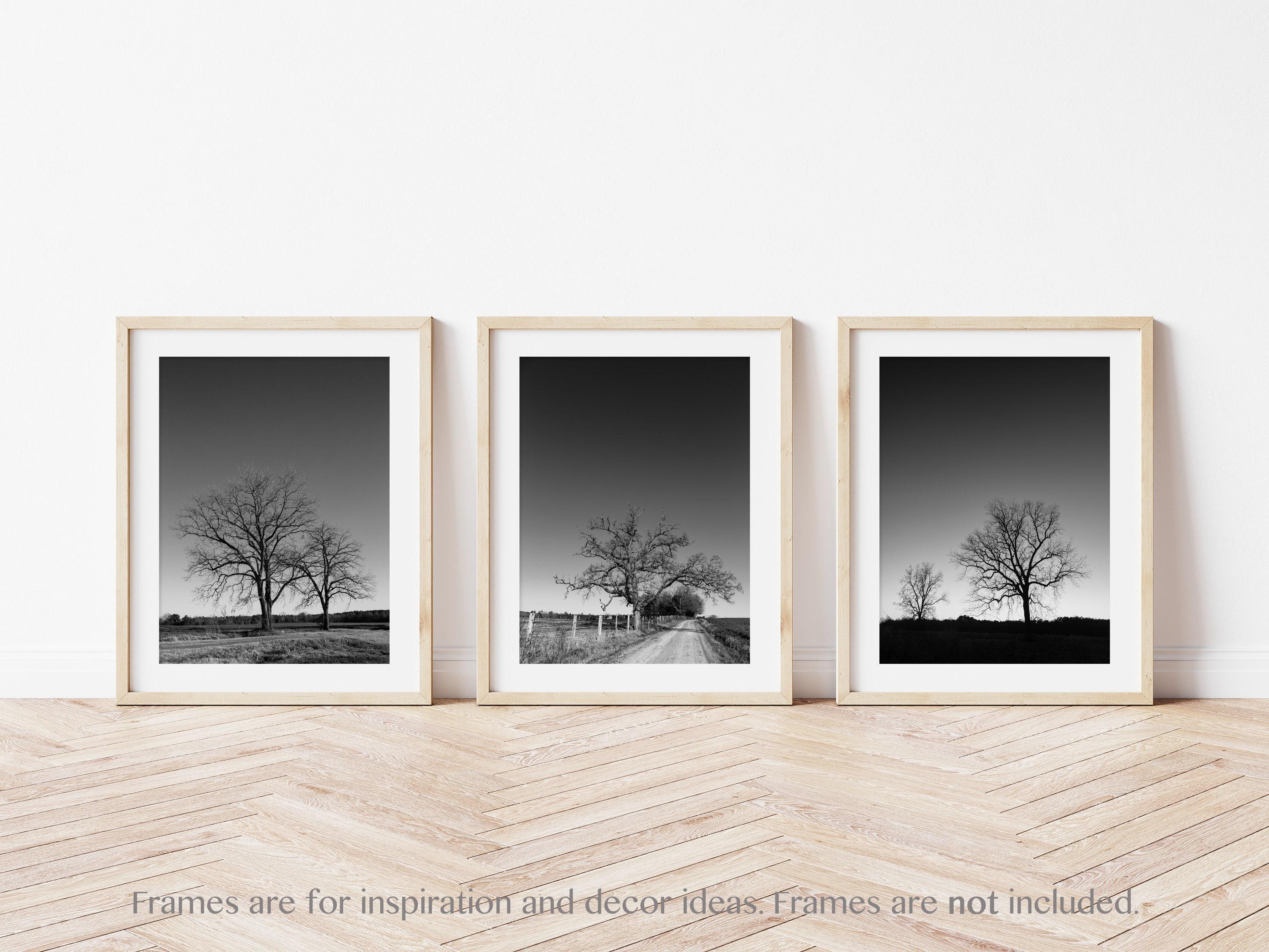 Black & White Tree Landscape Wall Art Set of 3 Prints. Rustic Nature ...