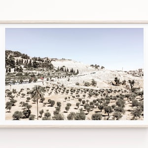Israel Wall Art Decor of the Mount of Olives in Jerusalem. Kidron Valley Olive Trees & Palms in the Holy Land Israel Travel Print or Canvas.