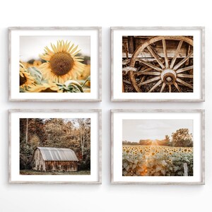Autumn Barn Landscape Farmhouse Wall Art Decor Photography Prints. Gold & Brown Country Sunflower Canvas Wall Art for Rustic Home Decor. image 1