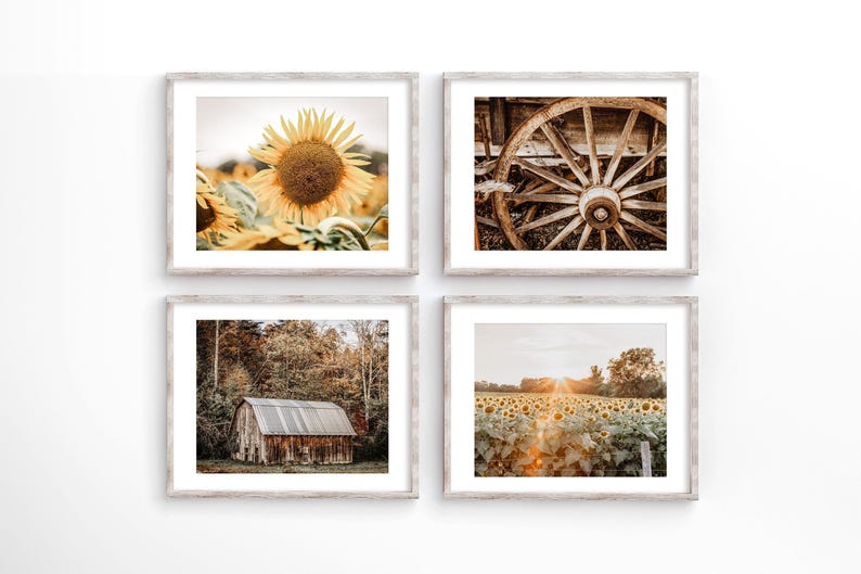 Autumn Barn Landscape Farmhouse Wall Art Decor Photography Prints. Gold & Brown Country Sunflower Canvas Wall Art for Rustic Home Decor. image 1