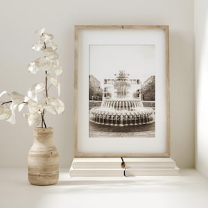 May include: A black and white photograph of a pineapple-shaped fountain. The fountain is surrounded by trees and buildings. The photograph is framed in a light wood frame.