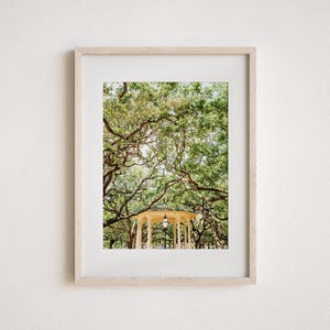 Charleston Art Print or Canvas. Charleston, SC Photography in The Battery at White Point Gardens. Charleston Wall Art Gift for Her.
