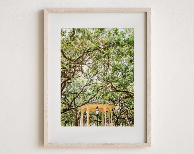 Charleston Art Print or Canvas. Charleston, SC Photography in The Battery at White Point Gardens. Charleston Wall Art Gift for Her.