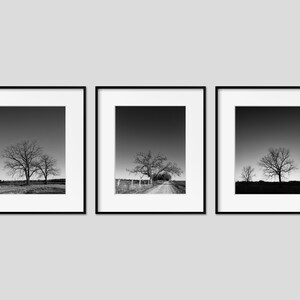 Black & White Tree Landscape Wall Art Set of 3 Prints. Rustic Nature Decor for Office, Bedroom and Living Rooms. Modern Minimal Canvas Art. image 1