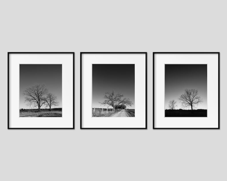 Black & White Tree Landscape Wall Art Set of 3 Prints. Rustic Nature Decor for Office, Bedroom and Living Rooms. Modern Minimal Canvas Art. image 1