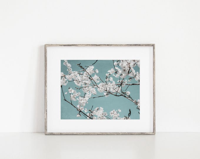 Shabby Chic Teal Blue Floral Wall Art Print or Canvas Wrap. Turquoise Cherry Blossoms Flower Art for Nursery, Bedroom or Bathroom Decor.