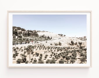 Israel Wall Art Decor of the Mount of Olives in Jerusalem. Kidron Valley Olive Trees & Palms in the Holy Land Israel Travel Print or Canvas.