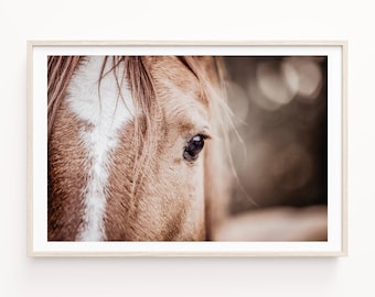 Horse Photography Print, Equestrian Wall Art, Modern Animal Art, Modern Farmhouse Wall Art, Rustic Decor, Framed & Canvas Print Available