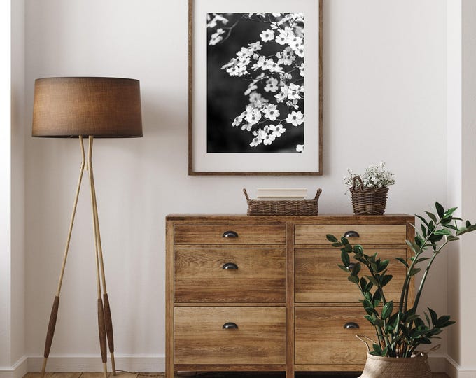 Rustic Floral Wall Art Print or Canvas. Black & White Dogwood Blooms Rustic Nature Wall Decor. Tree Flower Photography. Minimal Nature Art
